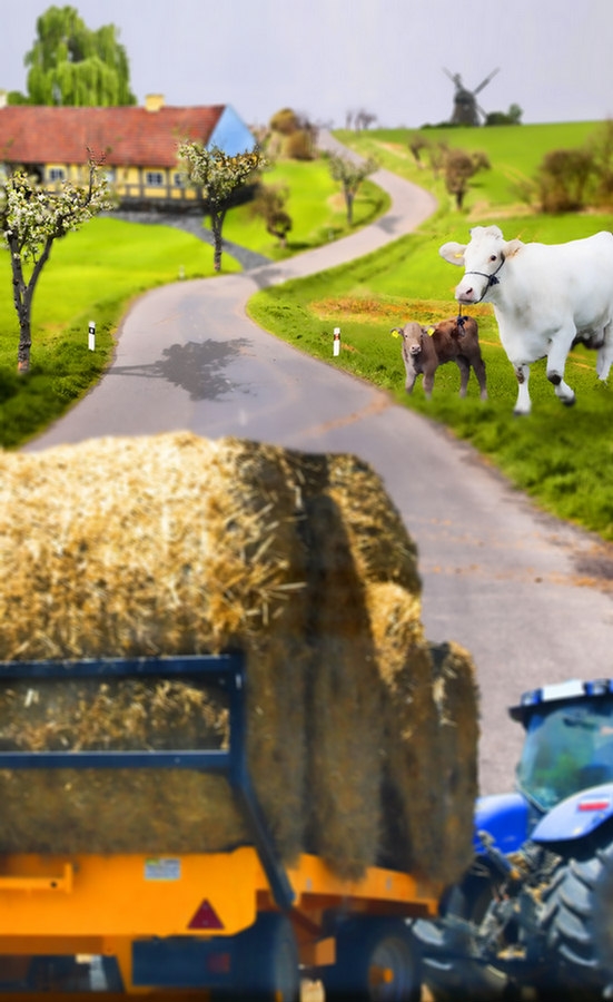 Creation of Model Farm: Step 9